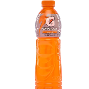 GATORADE MELON  24/1 600ML
